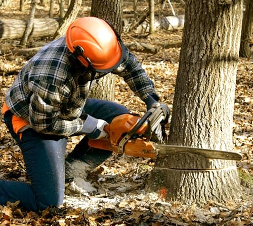 Tree Removal in Canadian, OK